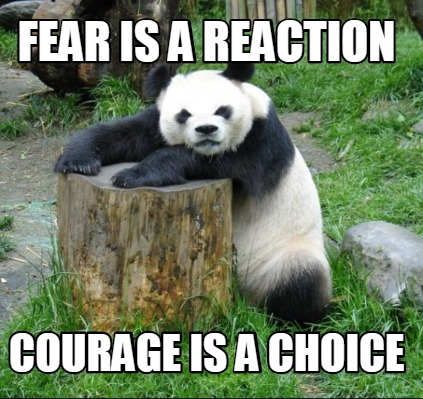 fear-is-a-reaction-courage-is-a-choice