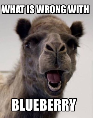 what-is-wrong-with-blueberry