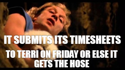 it-submits-its-timesheets-to-terri-on-friday-or-else-it-gets-the-hose