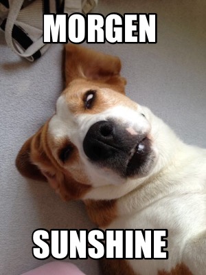 morgen-sunshine