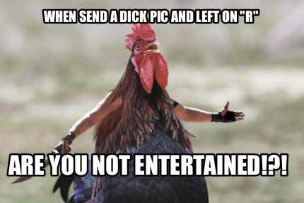 when-send-a-dick-pic-and-left-on-r-are-you-not-entertained