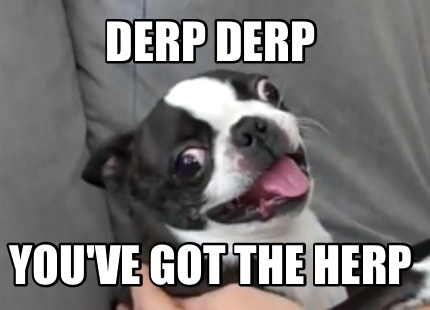 derp-derp-youve-got-the-herp