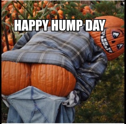 happy-hump-day063