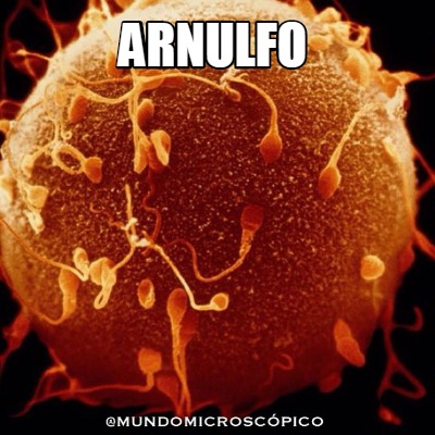 arnulfo