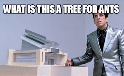 what-is-this-a-tree-for-ants7