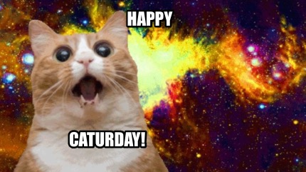 happy-caturday0