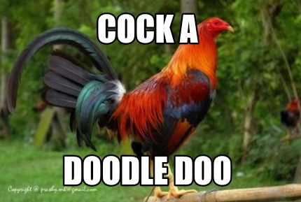 cock-a-doodle-doo