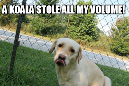 a-koala-stole-all-my-volume