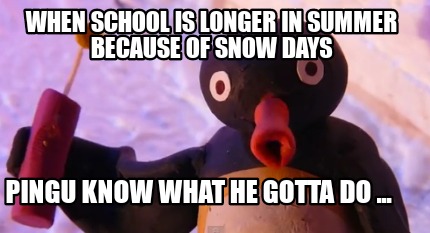 when-school-is-longer-in-summer-because-of-snow-days-pingu-know-what-he-gotta-do