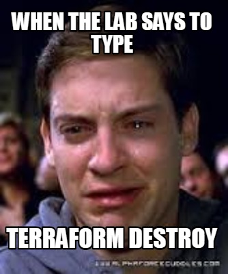 when-the-lab-says-to-type-terraform-destroy