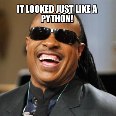 Meme Creator - Funny It looked just like a python! Meme Generator at ...
