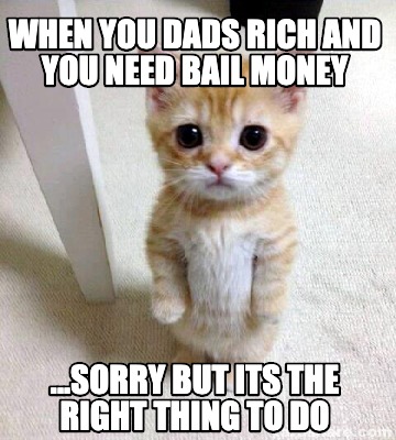 Featured image of post I Need Bail Money Meme