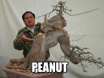 jesus-peanut