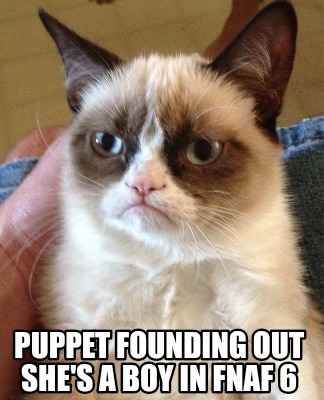 Meme Creator - Funny Puppet founding out she's a boy in fnaf 6 Meme  Generator at !