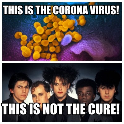 this-is-the-corona-virus-this-is-not-the-cure