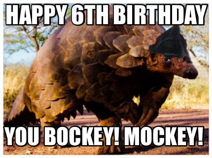 happy-6th-birthday-you-bockey-mockey