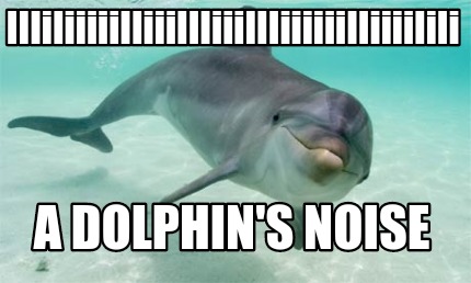 iiiiiiiiiiiiiiiiiiiiiiiiiiiiiiiiiiiiiiii-a-dolphins-noise