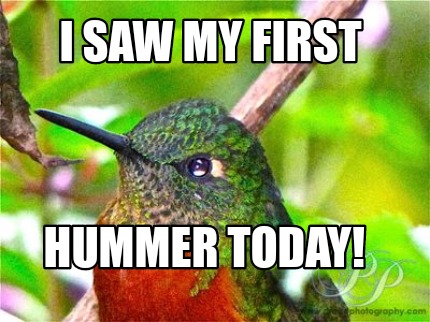 i-saw-my-first-hummer-today