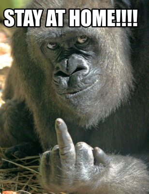 stay-at-home