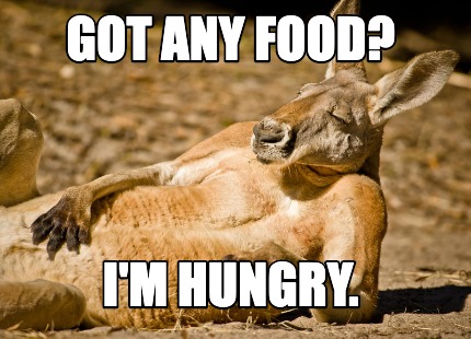 Meme Creator - Funny got any food? i'm hungry. Meme Generator at ! Meme Creator - Funny got any food? i'm hungry. Meme Generator at !