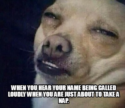 when-you-hear-your-name-being-called-loudly-when-you-are-just-about-to-take-a-na