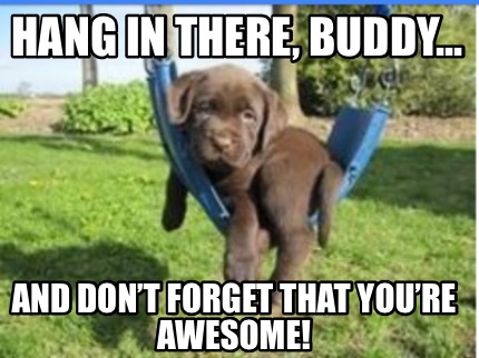 hang-in-there-buddy...-and-dont-forget-that-youre-awesome