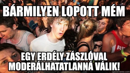 brmilyen-lopott-mm-egy-erdly-zszlval-moderlhatatlann-vlik