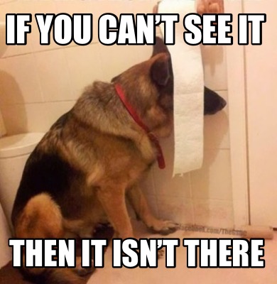 if-you-cant-see-it-then-it-isnt-there