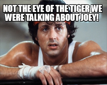 not-the-eye-of-the-tiger-we-were-talking-about-joey