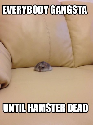 everybody-gangsta-until-hamster-dead