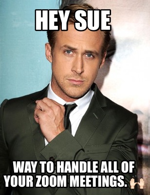Meme Creator - Funny Hey Sue Way to handle all of your zoom meetings