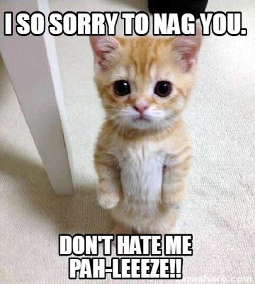 Meme Creator - Funny I so sorry to nag you. Don't hate me pah-leeeze ...