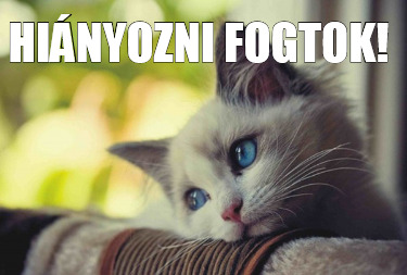 hinyozni-fogtok