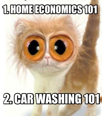 1.-home-economics-101-2.-car-washing-101