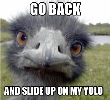 go-back-and-slide-up-on-my-yolo