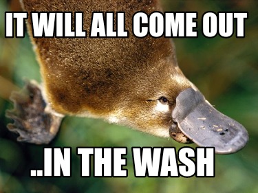 it-will-all-come-out-..in-the-wash