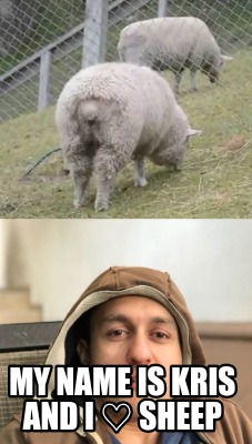 my-name-is-kris-and-i-sheep