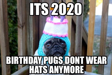 its-2020-birthday-pugs-dont-wear-hats-anymore