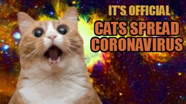 cats-spread-coronavirus-its-official