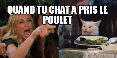 Meme Creator Funny Quand Tu Chat A Pris Le Poulet Meme Generator At Memecreator Org