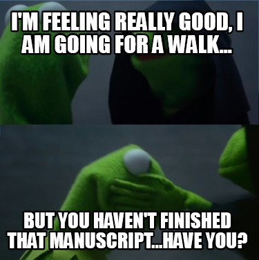 Meme Creator Funny I M Feeling Really Good I Am Going For A Walk But You Haven T Finished That Meme Generator At Memecreator Org