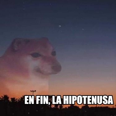 en-fin-la-hipotenusa