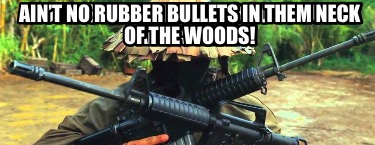 rioters-threatening-to-go-to-rural-areas-next.-aint-no-rubber-bullets-in-them-ne