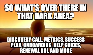 so-whats-over-there-in-that-dark-area-discovery-call-metrics-success-plan-onboar