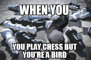 when-you-you-play-chess-but-youre-a-bird