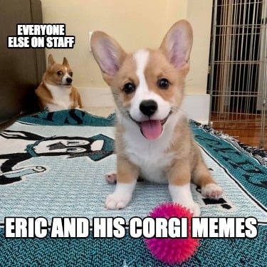 everyone-else-on-staff-eric-and-his-corgi-memes