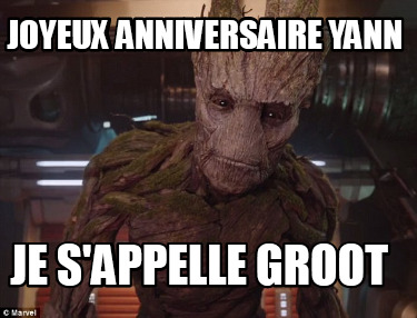 Meme Creator Funny Joyeux Anniversaire Yann Je S Appelle Groot Meme Generator At Memecreator Org