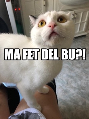 ma-fet-del-bu0