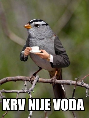 krv-nije-voda