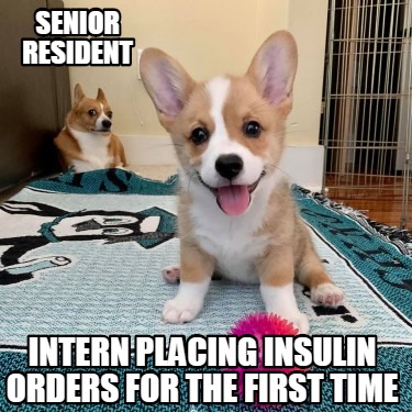 senior-resident-intern-placing-insulin-orders-for-the-first-time